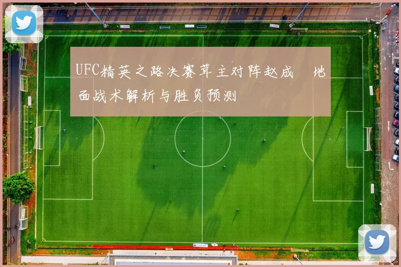 UFC精英之路决赛茸主对阵赵成焄地面战术解析与胜负预测