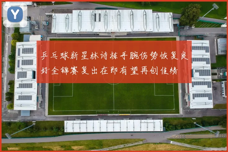 乒乓球新星林诗栋手腕伤势恢复良好全锦赛复出在即有望再创佳绩