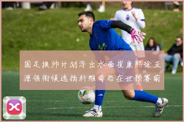 国足换帅计划浮出水面崔康熙徐正源领衔候选扬科维奇恐在世预赛前下课